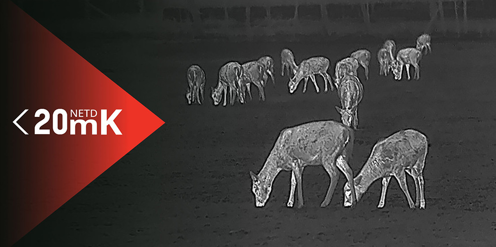 Hikmicro LYNX LH25 2.0 für detaillierte und aussagekräftige Bilder