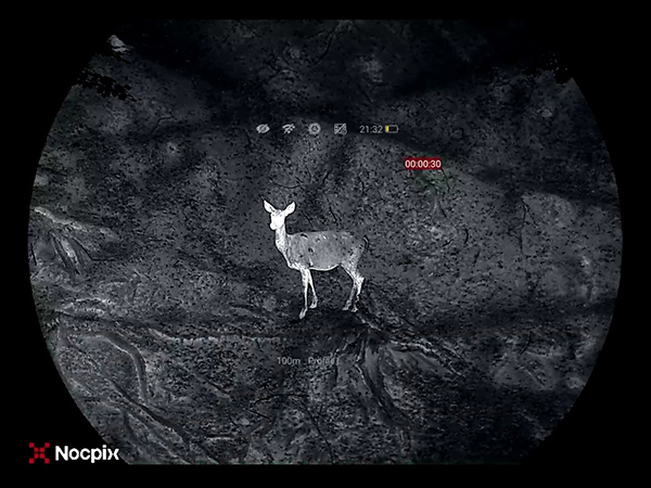 Flüssige Darstellung & AMOLED-Display – alles im Blick, ohne Ermüdung